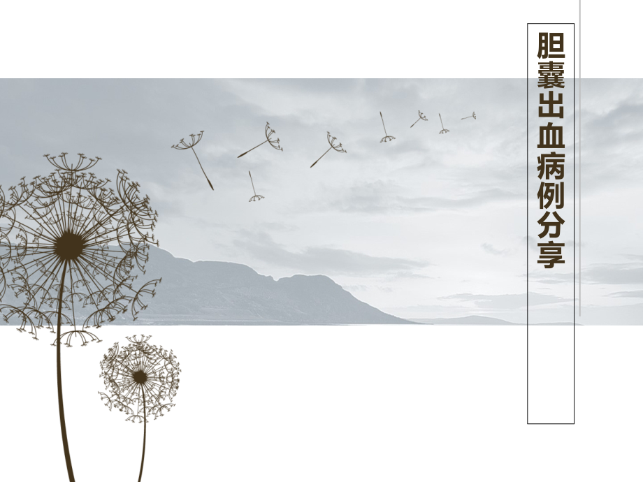 胆囊出血.ppt_第1页