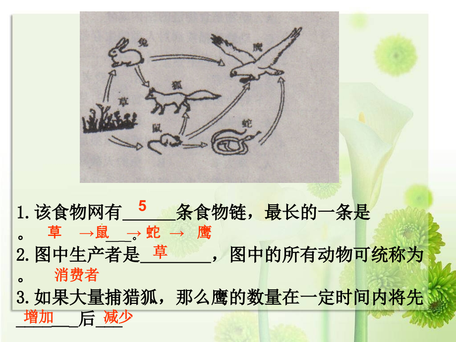 八年级-第十七章第二节-我国的动物资源及其保护.ppt_第2页