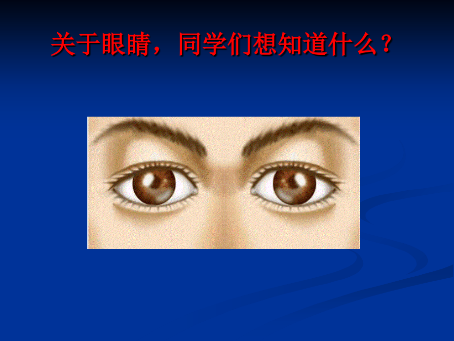 名校：第六节--神奇的眼睛.ppt_第2页