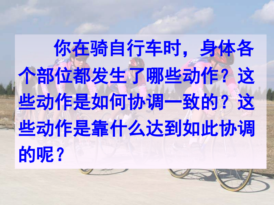 人教版生物七下《神经系统的组成》.ppt_第2页