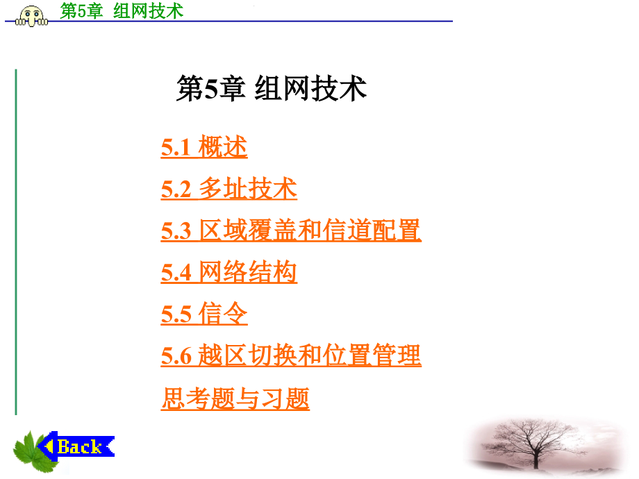 第章组网技术.ppt_第1页