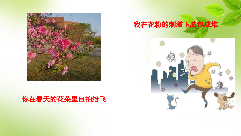 新型抗过敏药英文版.pptx_第2页