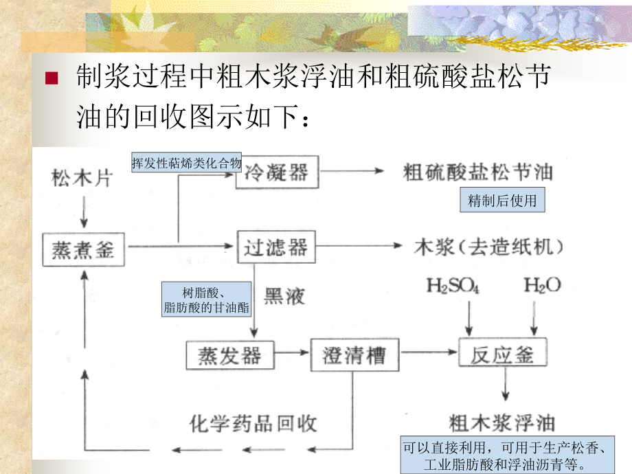 天然树脂生产工艺学第5章.ppt_第2页