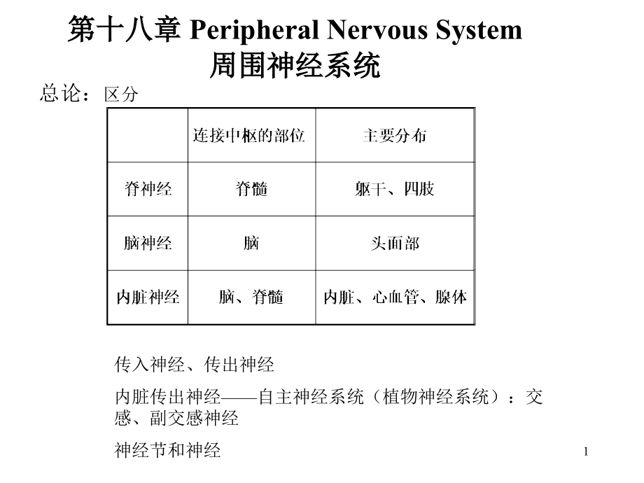5-脊神经.ppt_第1页