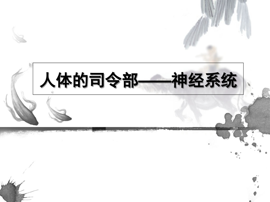 神经系统——人体的司令部.ppt_第1页