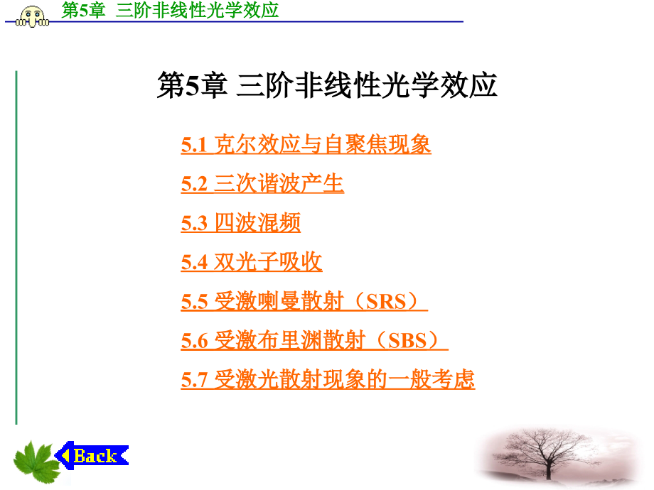 第5章-三阶非线性光学效应.ppt_第1页