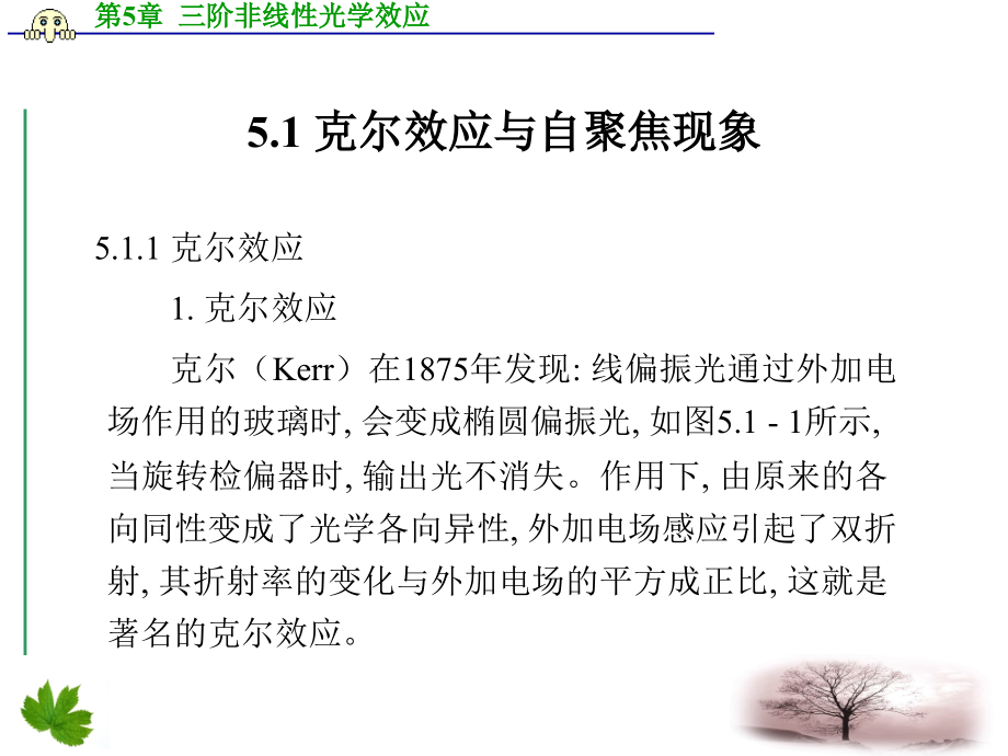 第5章-三阶非线性光学效应.ppt_第2页