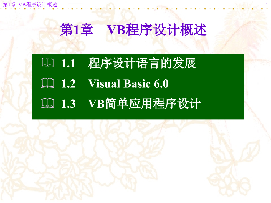vb程序设计概述.ppt_第1页