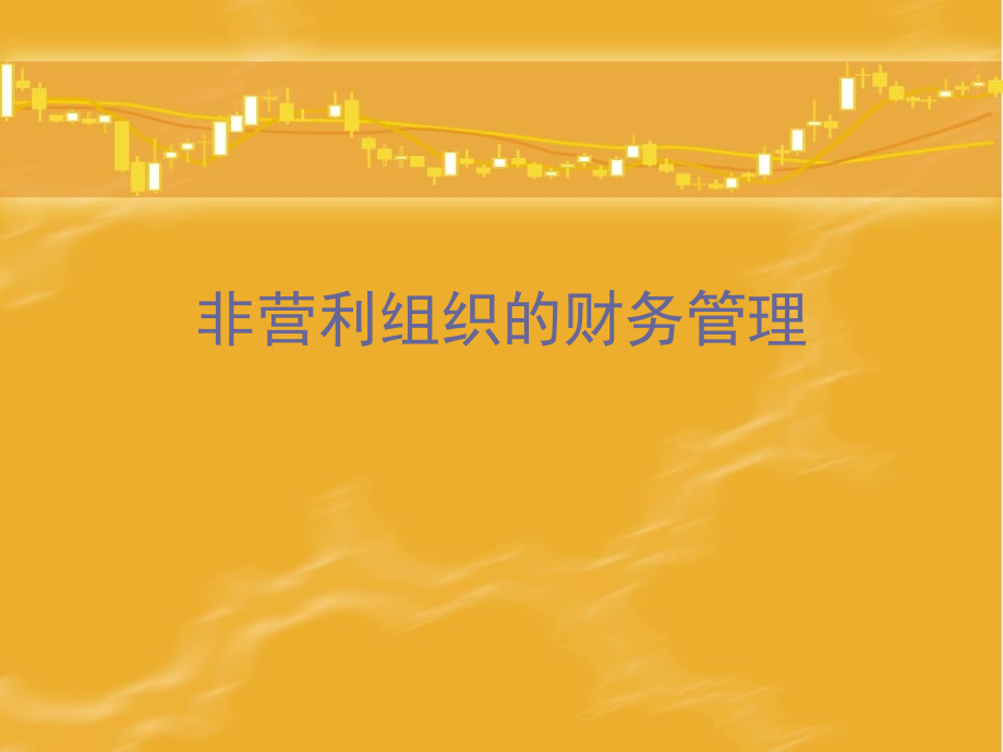 非营利组织的财务管理.ppt_第1页