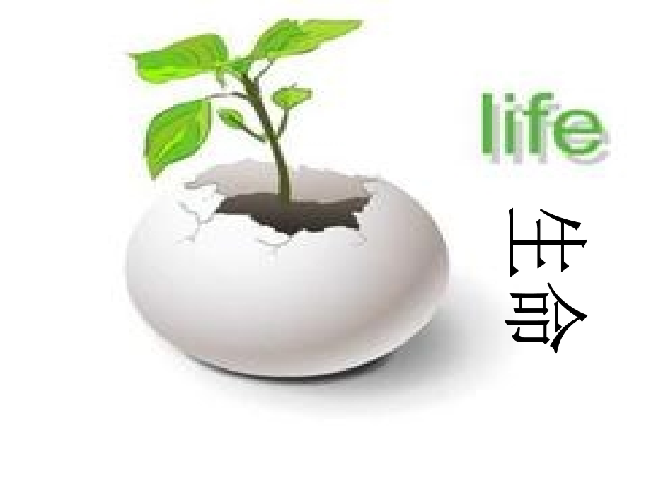 四年级下语文园地五习作热爱生命.ppt_第1页