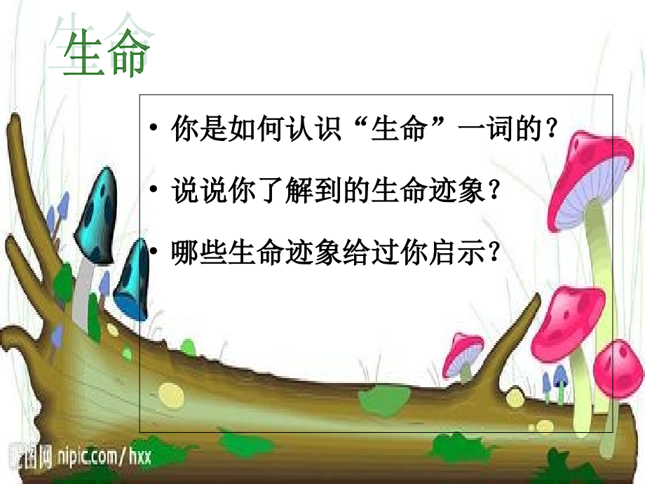 四年级下语文园地五习作热爱生命.ppt_第2页