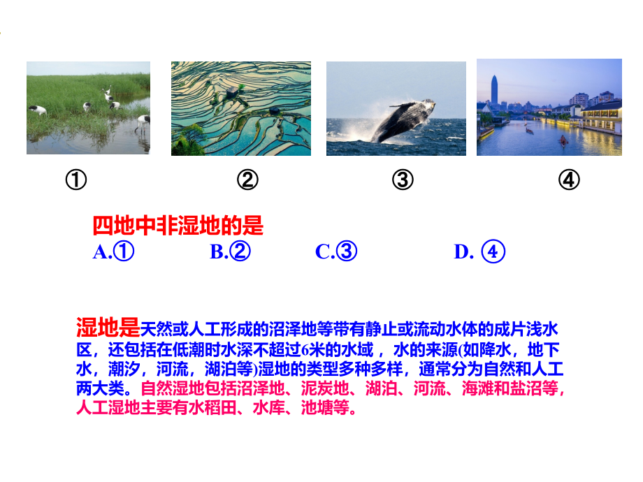 高中地理-湿地新名师一等奖公开课教学课件.ppt_第1页