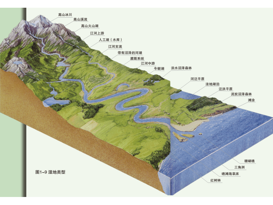 高中地理-湿地新名师一等奖公开课教学课件.ppt_第2页
