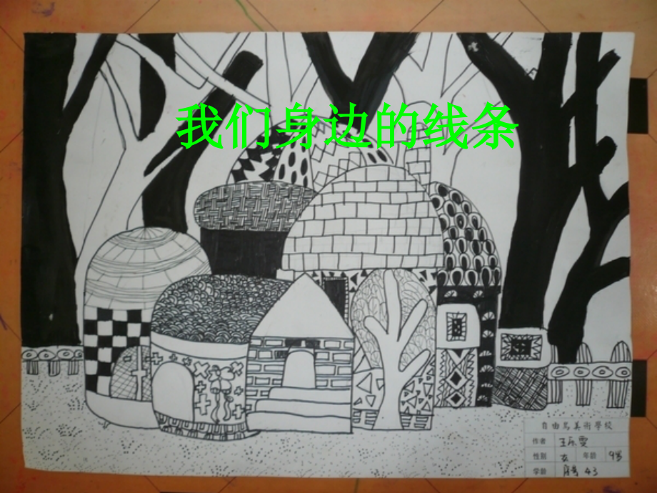 小学美术《我们身边的线条》.ppt_第1页