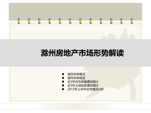 滁州市房地产市场形势解读.ppt