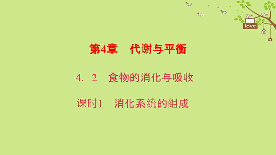 九年级科学上册42食物的消化与吸收课时1消化系统的组成课件.ppt_第1页