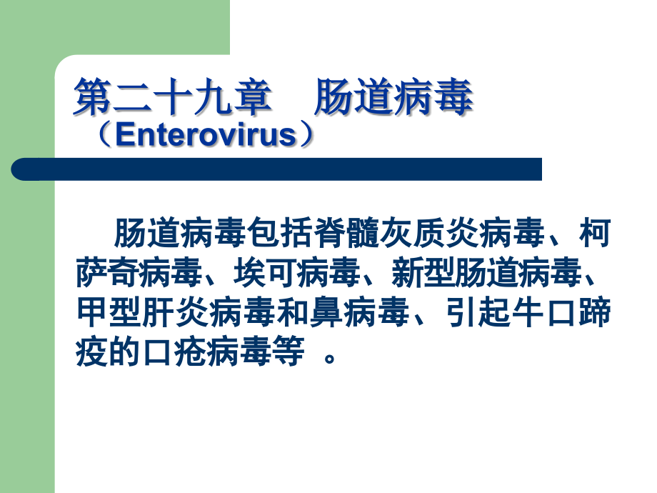 第二十九章--肠道病毒.ppt_第1页