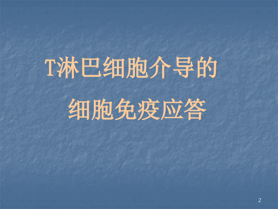 T淋巴细胞介导的细胞免疫应答-免疫学教学课件.ppt_第2页