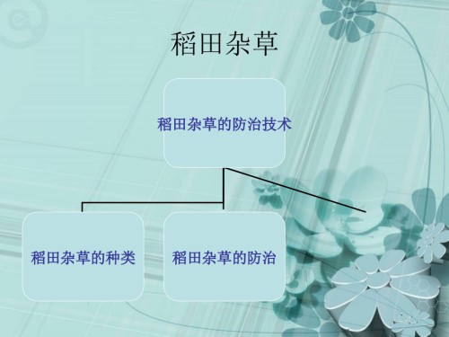水稻田杂草及防除.ppt