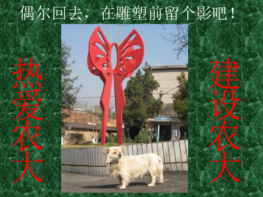 云南农业大学校园风景.ppt_第1页