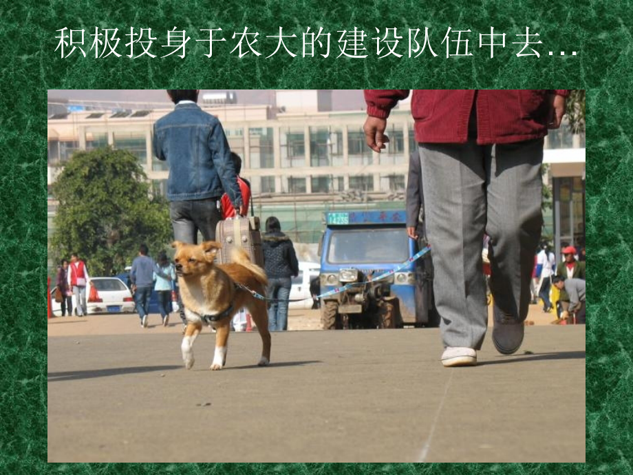 云南农业大学校园风景.ppt_第2页