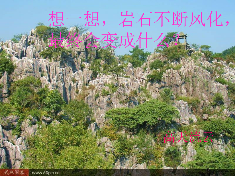 小学科学土壤中有什么.ppt_第1页
