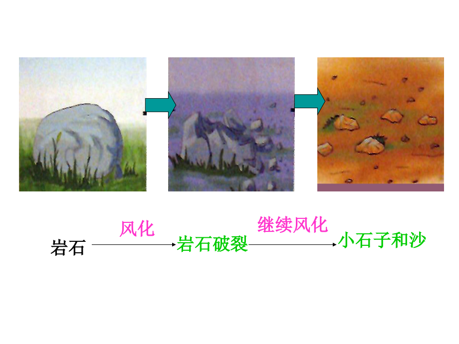 小学科学土壤中有什么.ppt_第2页