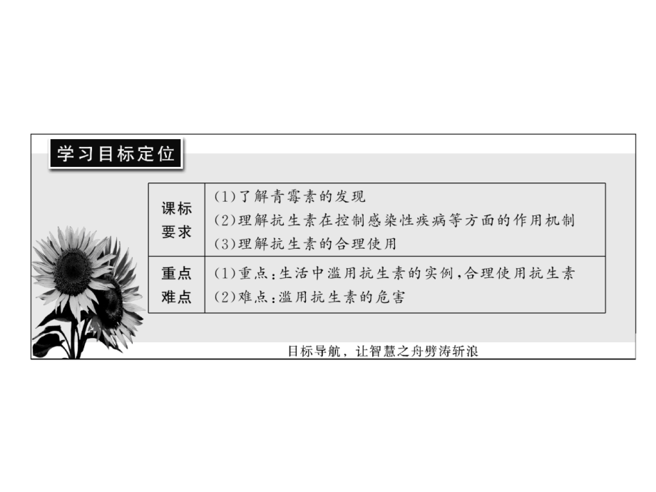 生物人教版选修2：11-抗生素的合理使用.ppt_第2页