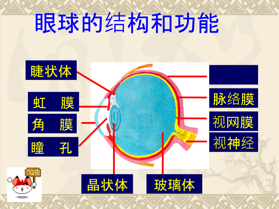 好神经系统的组成.ppt_第1页
