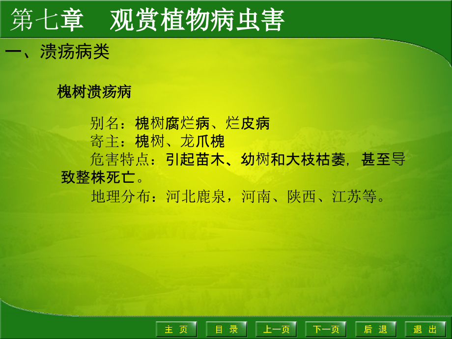 第四节--观赏植物枝干病虫害-园艺植物病虫害防治.ppt_第2页
