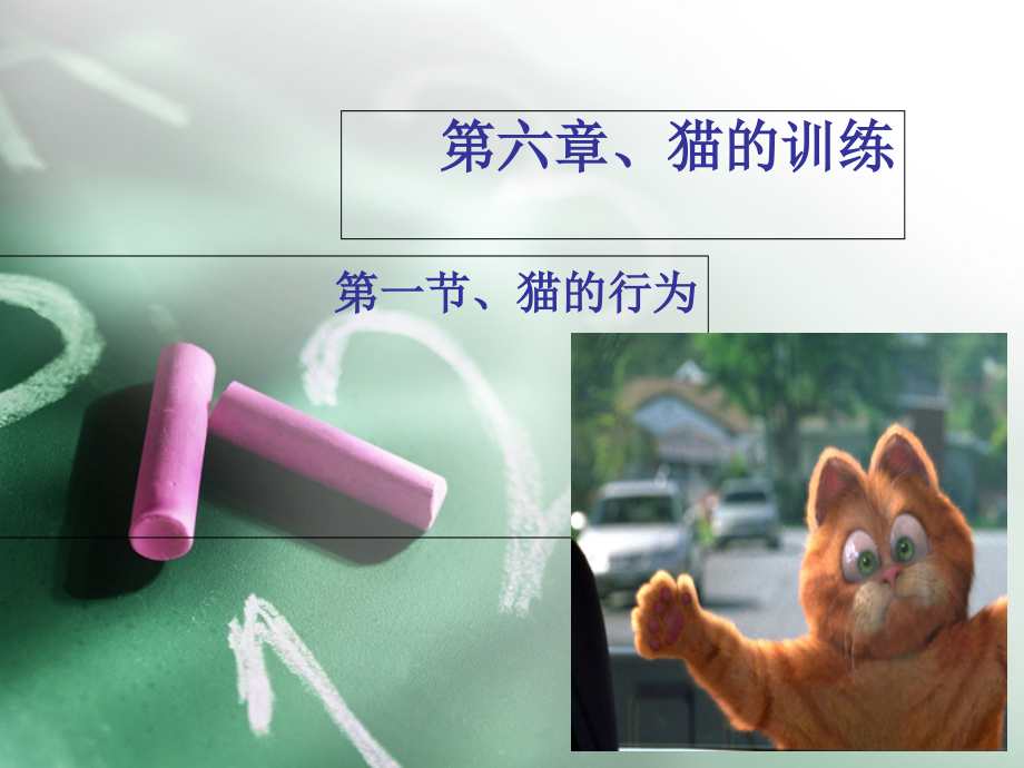 第六章-猫的训练--第一节、猫的行为.ppt_第1页