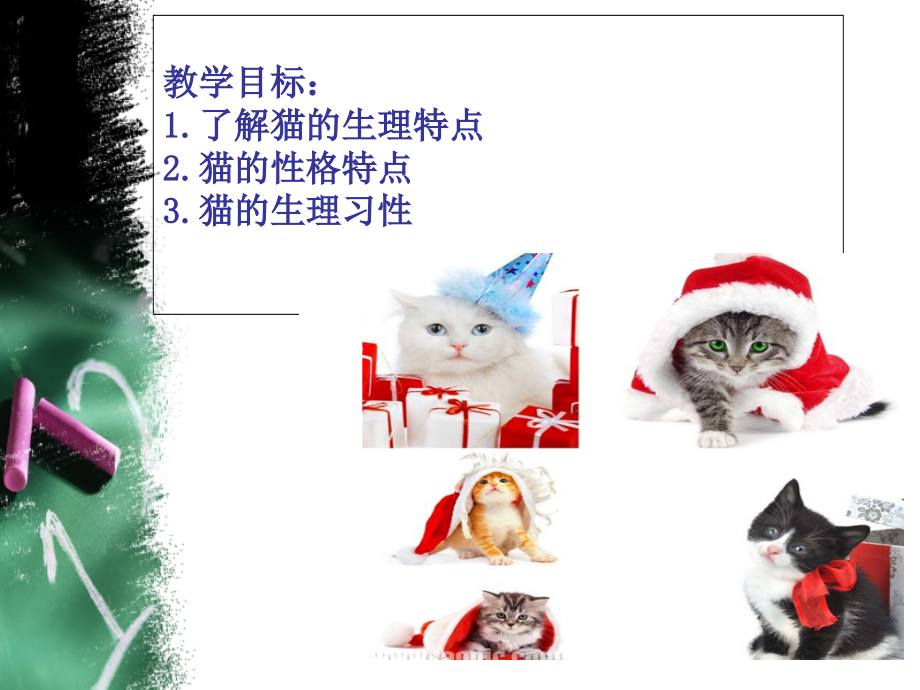 第六章-猫的训练--第一节、猫的行为.ppt_第2页