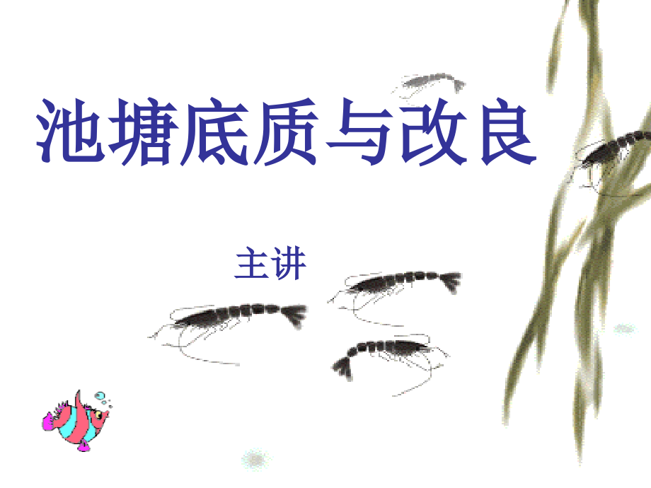 池塘底质与改良.ppt_第1页