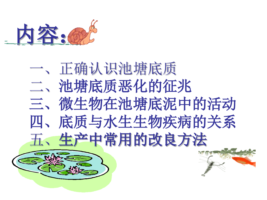 池塘底质与改良.ppt_第2页