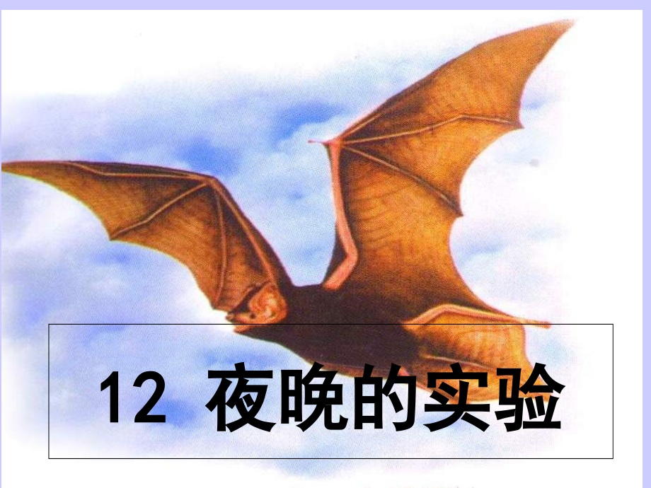 苏教版六年级下册夜晚的实验.ppt_第1页