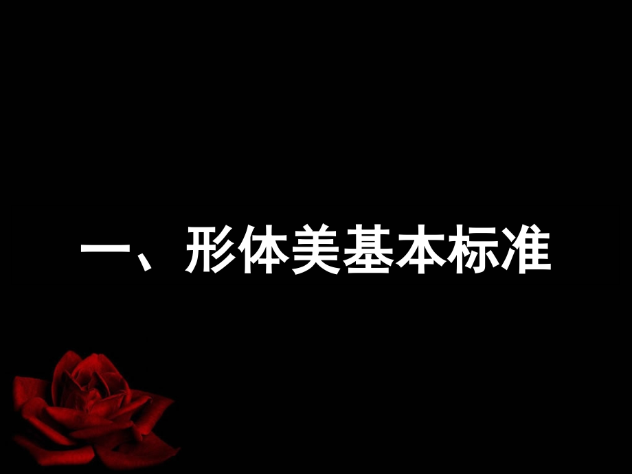 专业摄影.ppt_第2页