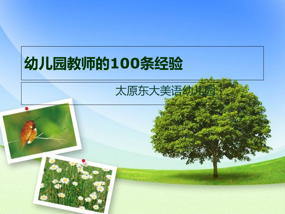 幼儿园教师的100条经验.ppt_第1页