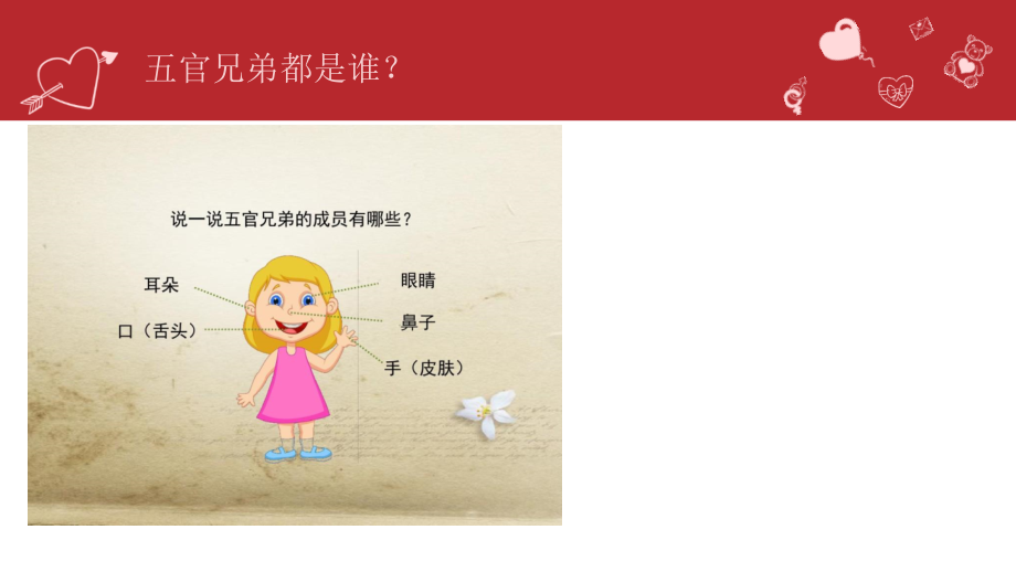 三年级科学上---五官兄弟游乐场.ppt_第2页