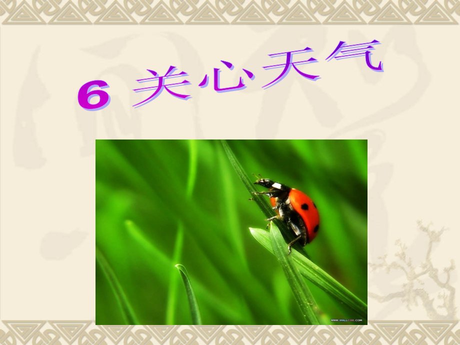 粤教版四年级科学上册-6-关心天气.ppt_第1页