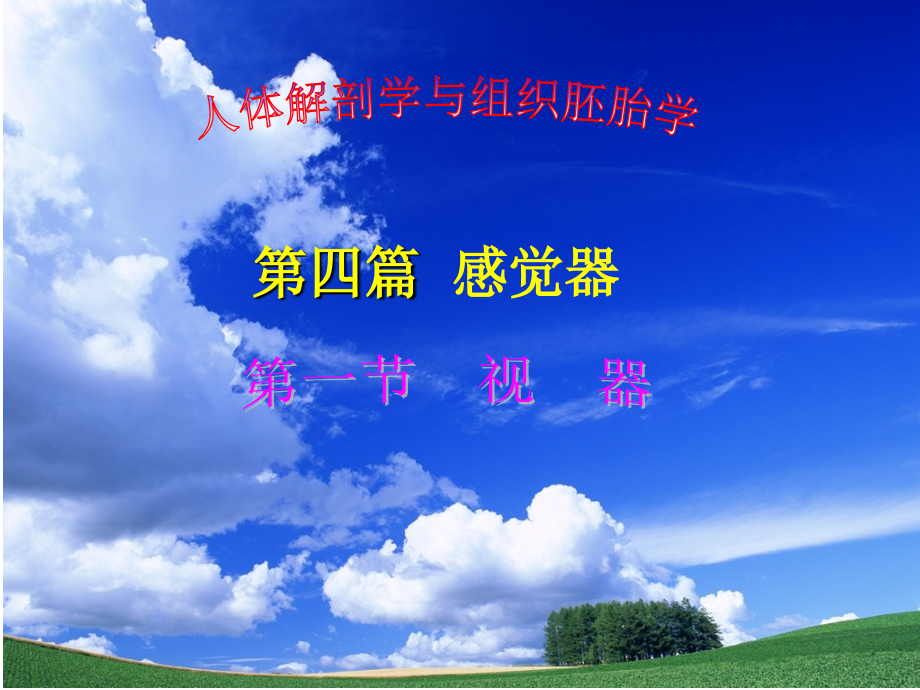 感觉器-眼.ppt_第1页