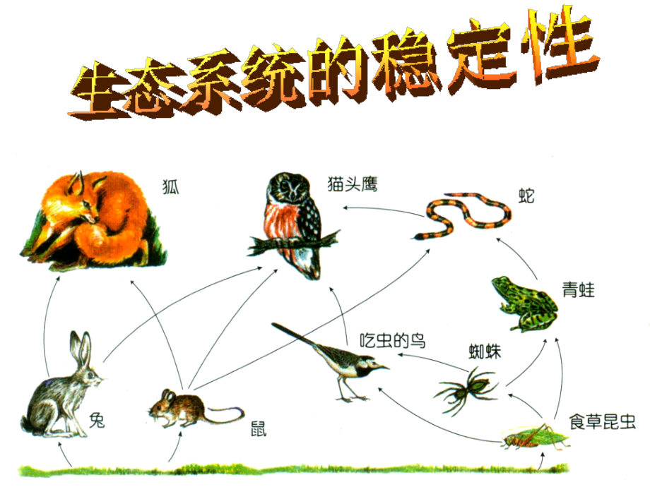 地方课程生态平衡.ppt_第2页