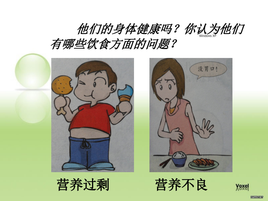 苏教版本小学四年级科学上册《怎样搭配食物》课件.ppt_第2页