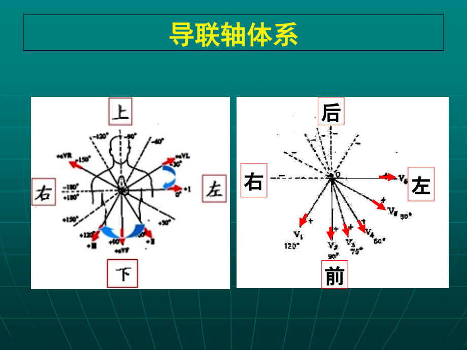 11正常心电图及测量(2h).ppt_第1页