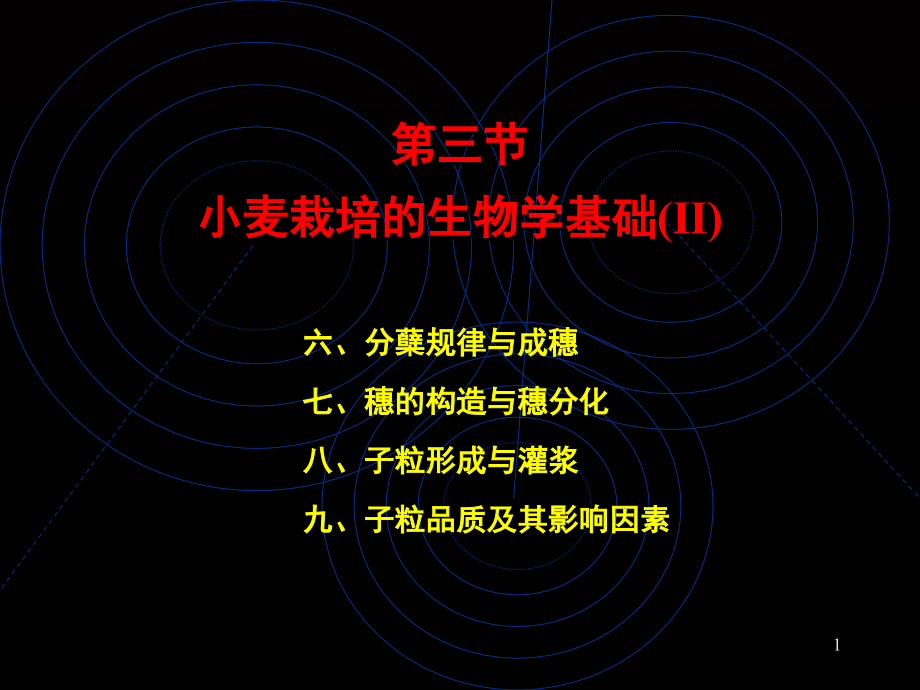 小麦栽培.ppt_第1页