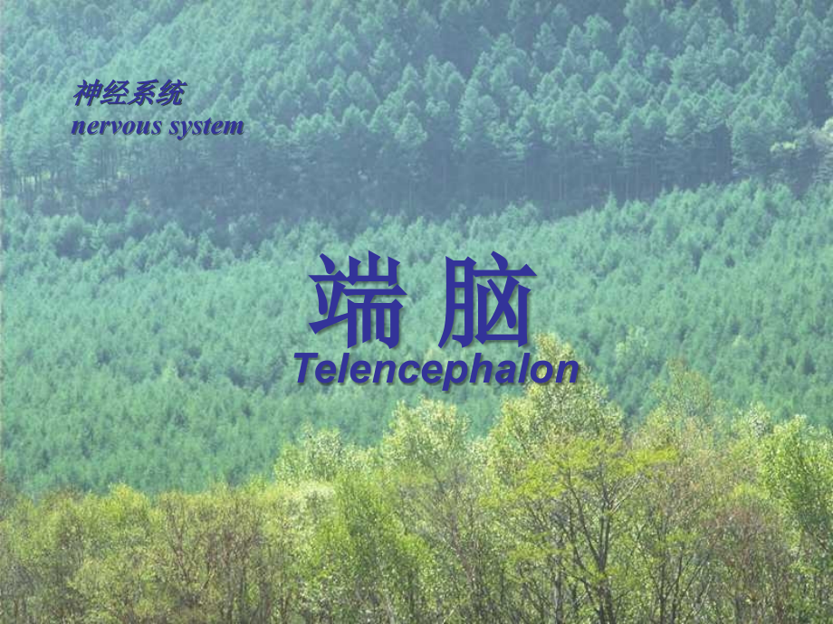 颅脑的应用解剖学.ppt_第2页