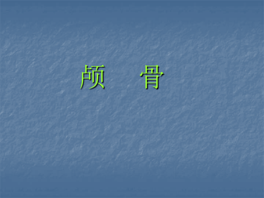 颅骨及连接.ppt_第1页