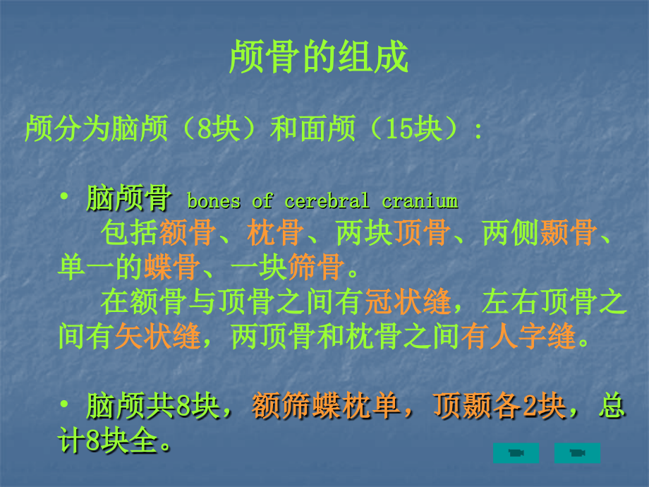 颅骨及连接.ppt_第2页