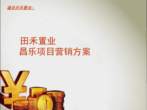田禾置业昌乐项目营销方案.ppt