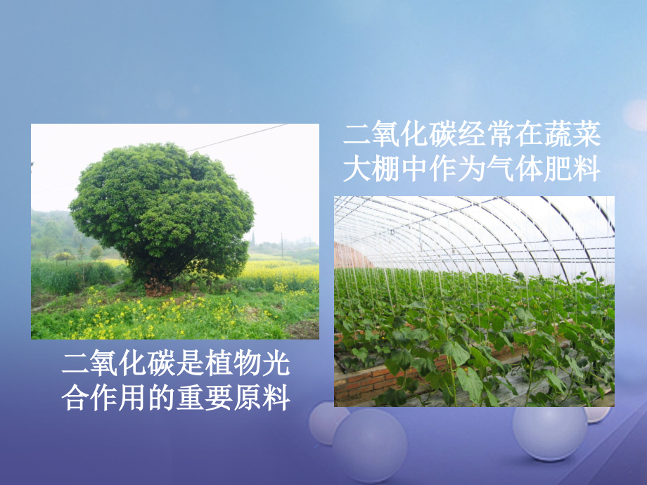 九年级化学上册62二氧化碳和一氧化碳《二氧化碳制取的研究》.ppt_第2页