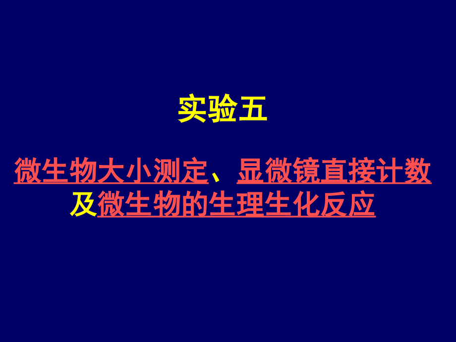 微生物综合实验(三个实验综合).ppt_第1页